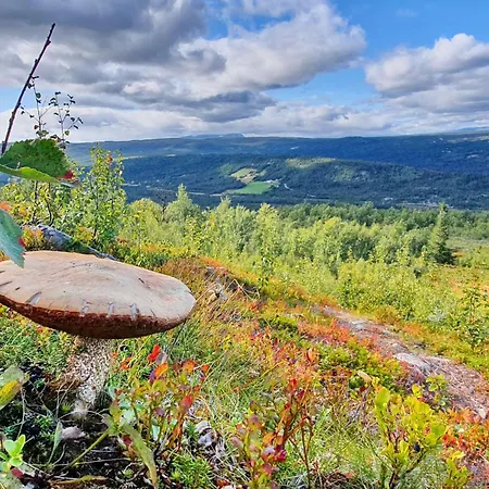 Active Adventure Base - & Lavvo, Fjellpark Lägenhet Dagali